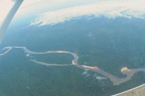 View out the airplane of tributaries to the Amazon.