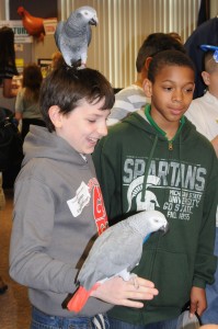 Boy with two parrots.