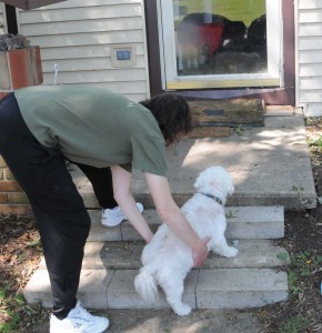 Helping Dusty up the steps.