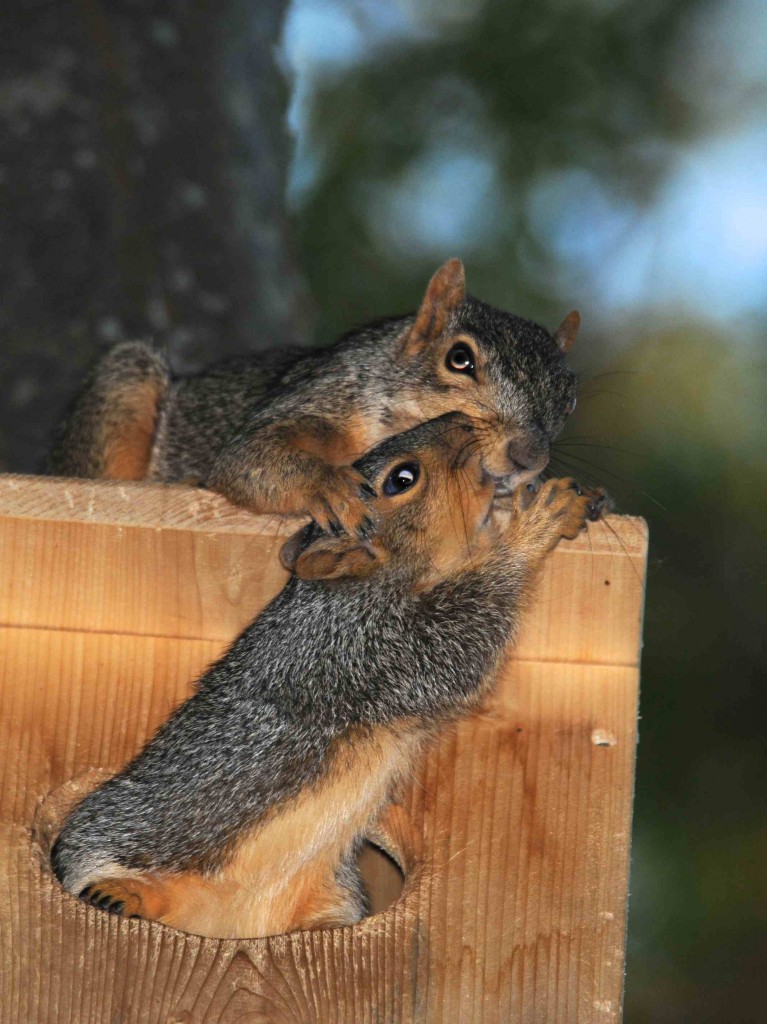 Mom with baby in the front yard.