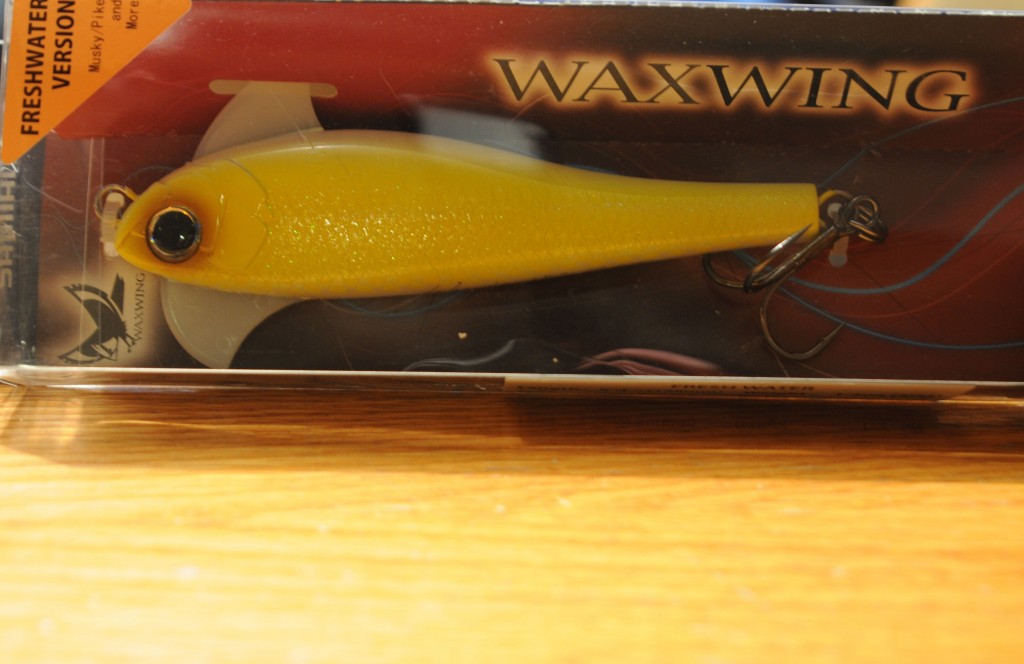 My waxwing fishing lure.
