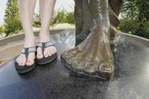 Aby's and Sparty's feet.