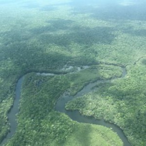A tributary of a tributary of the Amazon.